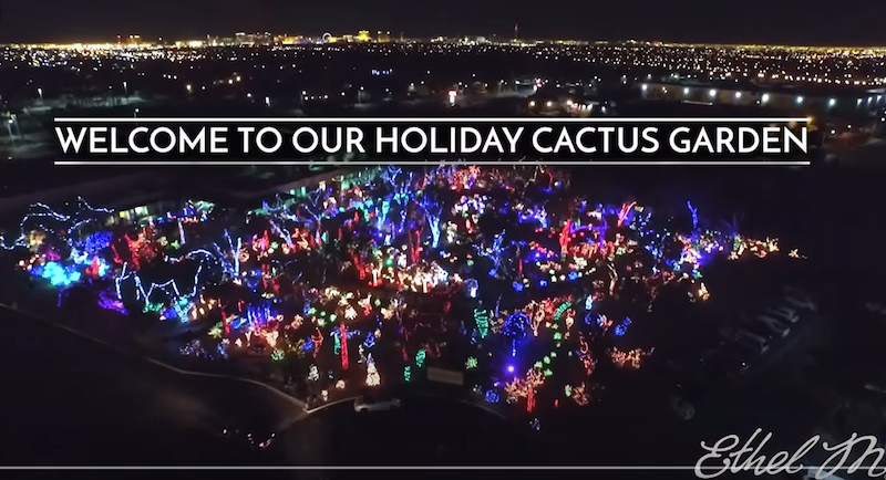 Holiday%20cactus%20garden%20lights